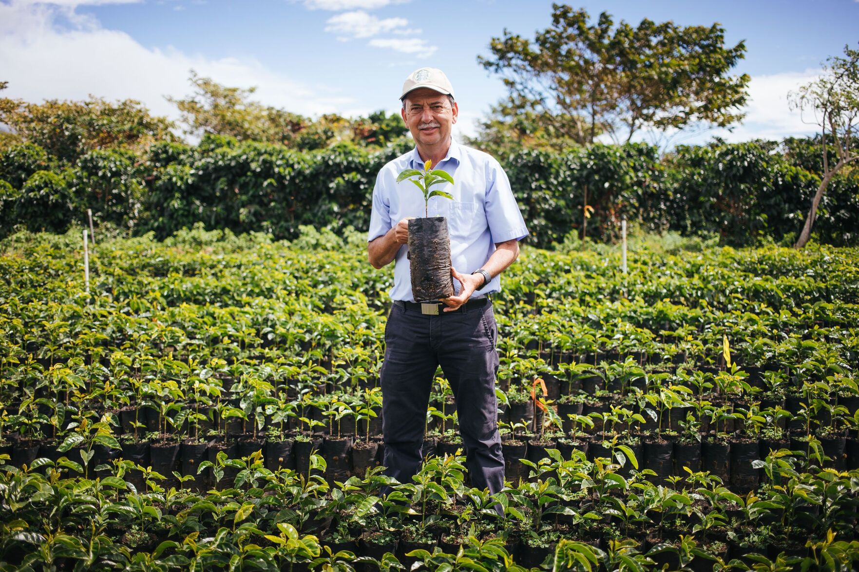 Coffee is in danger. Starbucks is working on solutions